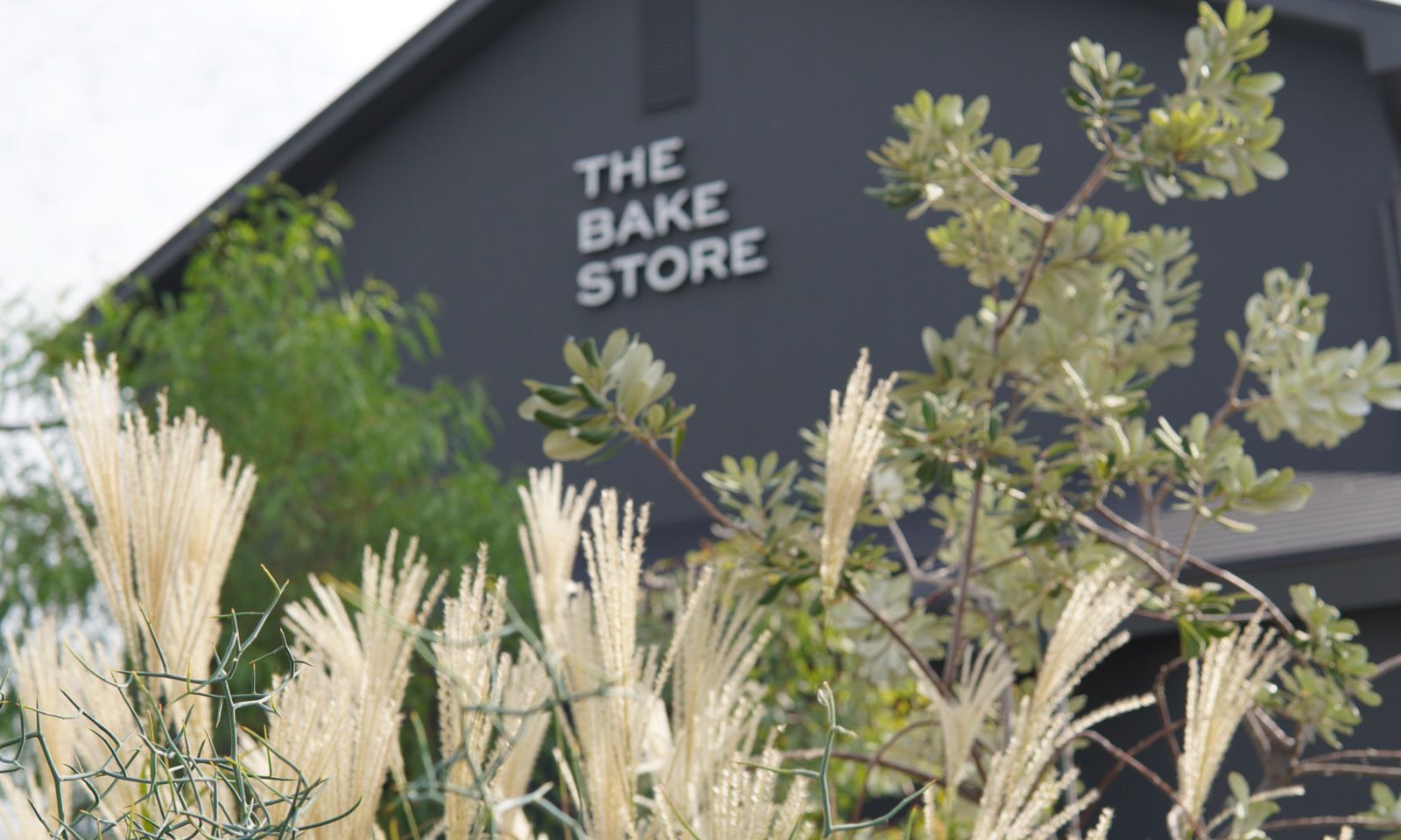 THE BAKE STORE/Landscape,Interior green,concept making/GREEN SUPPLY